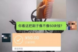 蓝山贷款清欠服务