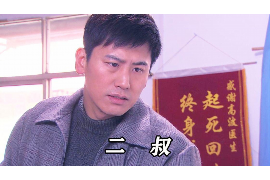 蓝山企业清欠服务